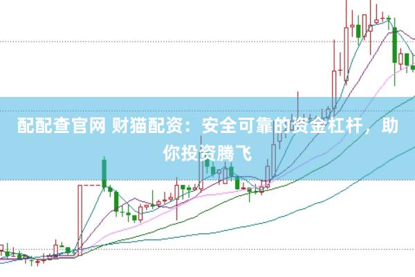配配查官网 财猫配资：安全可靠的资金杠杆，助你投资腾飞