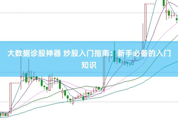 大数据诊股神器 炒股入门指南：新手必备的入门知识