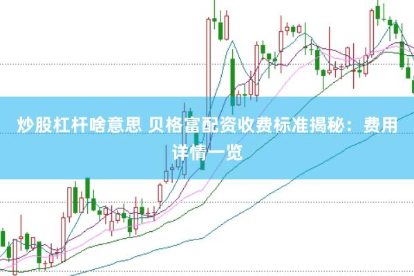 炒股杠杆啥意思 贝格富配资收费标准揭秘：费用详情一览