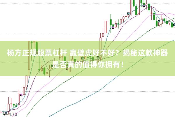 杨方正规股票杠杆 赢壁虎好不好？揭秘这款神器是否真的值得你拥有！
