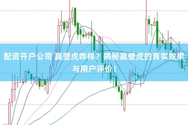 配资开户公司 赢壁虎咋样？揭秘赢壁虎的真实效果与用户评价！