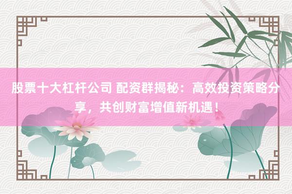 股票十大杠杆公司 配资群揭秘：高效投资策略分享，共创财富增值新机遇！