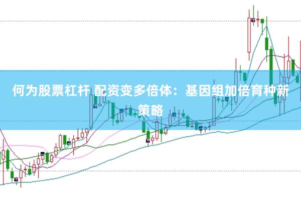 何为股票杠杆 配资变多倍体：基因组加倍育种新策略