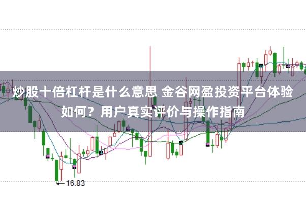 炒股十倍杠杆是什么意思 金谷网盈投资平台体验如何？用户真实评价与操作指南