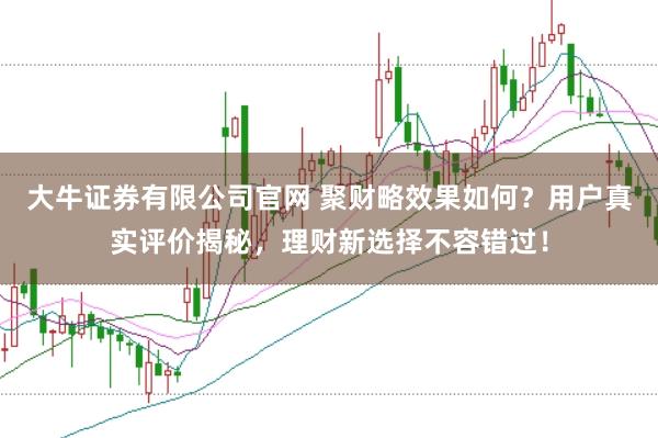 大牛证券有限公司官网 聚财略效果如何？用户真实评价揭秘，理财新选择不容错过！