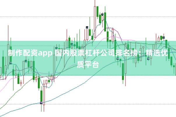 制作配资app 国内股票杠杆公司排名榜：精选优质平台