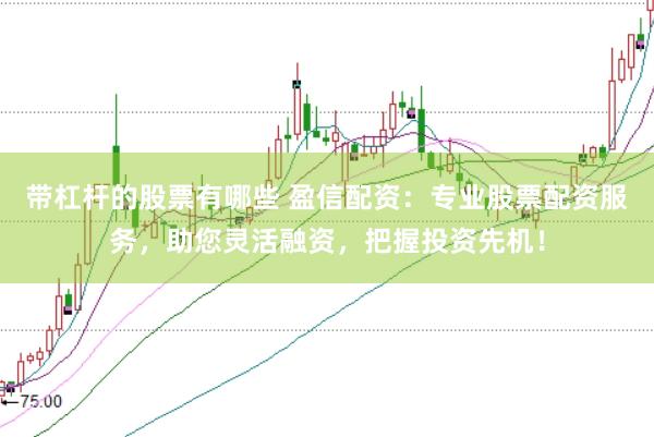 带杠杆的股票有哪些 盈信配资：专业股票配资服务，助您灵活融资，把握投资先机！