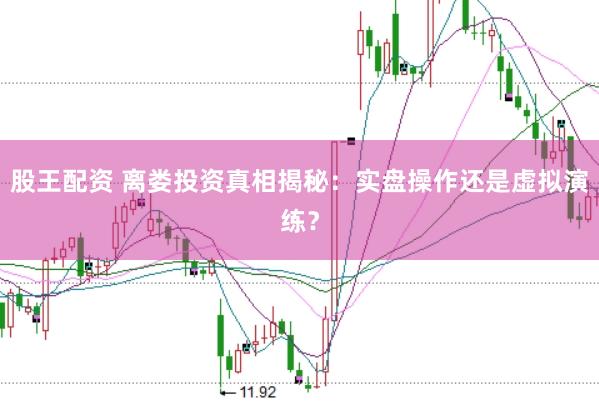 股王配资 离娄投资真相揭秘：实盘操作还是虚拟演练？