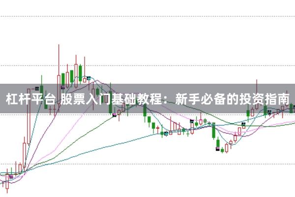 杠杆平台 股票入门基础教程：新手必备的投资指南