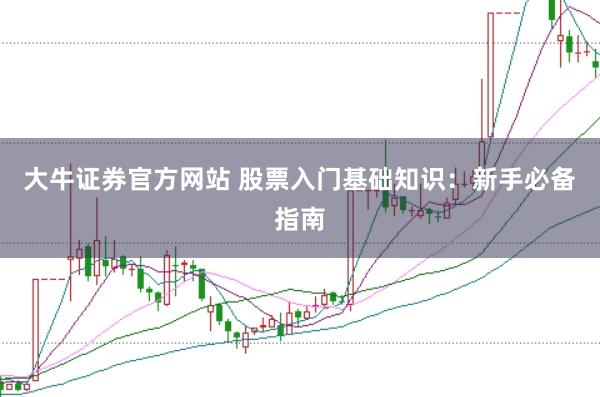 大牛证券官方网站 股票入门基础知识：新手必备指南