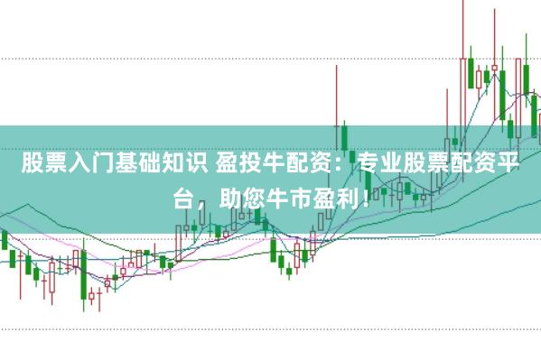 股票入门基础知识 盈投牛配资：专业股票配资平台，助您牛市盈利！