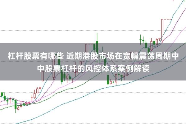 杠杆股票有哪些 近期港股市场在宽幅震荡周期中中股票杠杆的风控体系案例解读