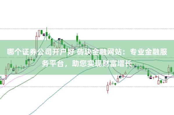哪个证券公司开户好 砖块金融网站：专业金融服务平台，助您实现财富增长
