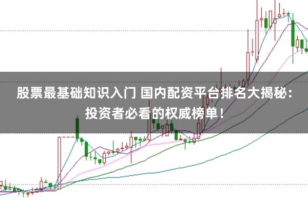 股票最基础知识入门 国内配资平台排名大揭秘:投资者必看的权威榜单!