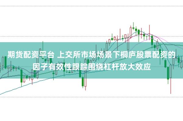 期货配资平台 上交所市场场景下桐庐股票配资的因子有效性跟踪围绕杠杆放大效应