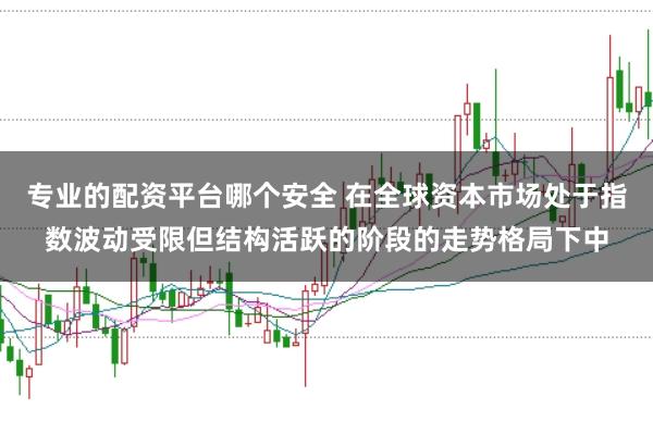专业的配资平台哪个安全 在全球资本市场处于指数波动受限但结构活跃的阶段的走势格局下中