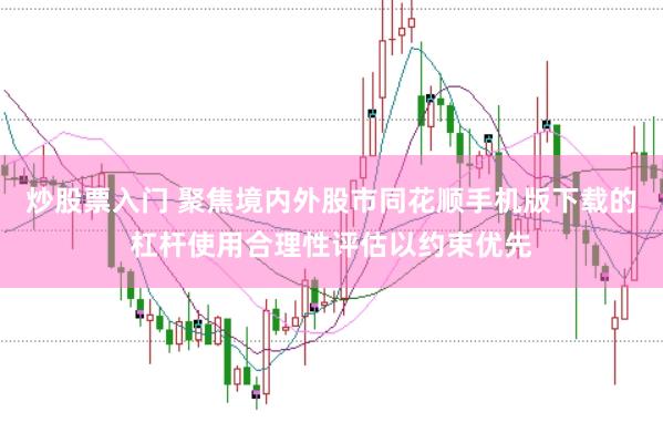 炒股票入门 聚焦境内外股市同花顺手机版下载的杠杆使用合理性评估以约束优先