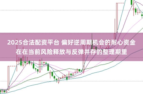 2025合法配资平台 偏好逆周期机会的耐心资金在在当前风险释放与反弹并存的整理期里