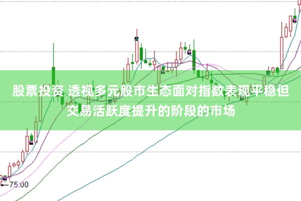 股票投资 透视多元股市生态面对指数表现平稳但交易活跃度提升的阶段的市场
