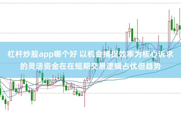 杠杆炒股app哪个好 以机会捕捉效率为核心诉求的灵活资金在在短期交易逻辑占优但趋势