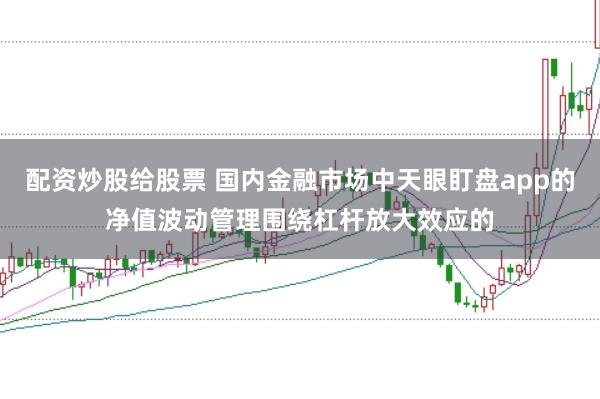 配资炒股给股票 国内金融市场中天眼盯盘app的净值波动管理围绕杠杆放大效应的