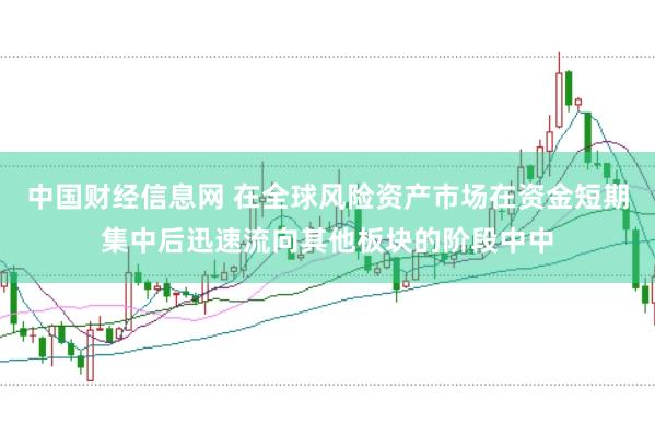 中国财经信息网 在全球风险资产市场在资金短期集中后迅速流向其他板块的阶段中中