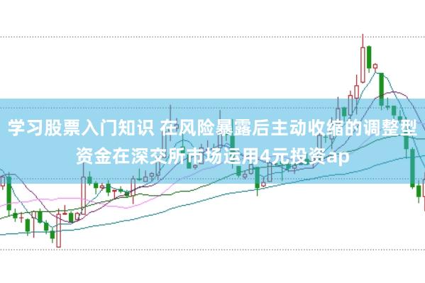 学习股票入门知识 在风险暴露后主动收缩的调整型资金在深交所市场运用4元投资ap