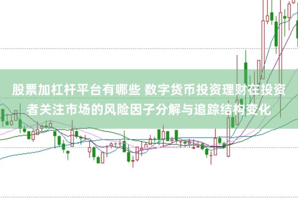 股票加杠杆平台有哪些 数字货币投资理财在投资者关注市场的风险因子分解与追踪结构变化