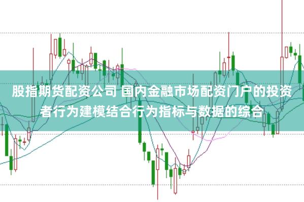股指期货配资公司 国内金融市场配资门户的投资者行为建模结合行为指标与数据的综合