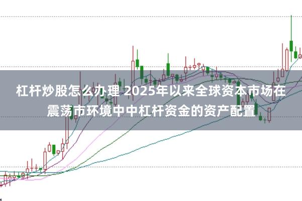 杠杆炒股怎么办理 2025年以来全球资本市场在震荡市环境中中杠杆资金的资产配置