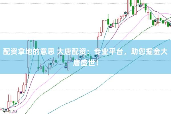 配资拿地的意思 大唐配资:专业平台,助您掘金大唐盛世!