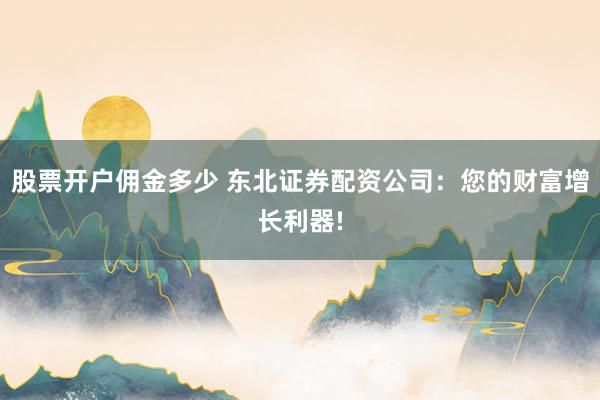 股票开户佣金多少 东北证券配资公司：您的财富增长利器!