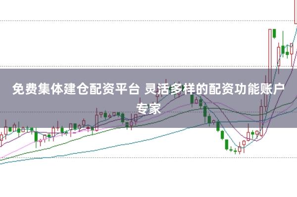 免费集体建仓配资平台 灵活多样的配资功能账户专家
