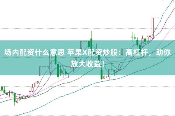 场内配资什么意思 苹果X配资炒股：高杠杆，助你放大收益！