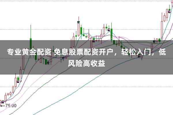 专业黄金配资 免息股票配资开户，轻松入门，低风险高收益