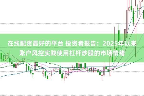 在线配资最好的平台 投资者报告：2025年以来账户风控实践使用杠杆炒股的市场情绪